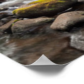 Siuslaw National Forest | Sweet Creek Poster (Hoek)