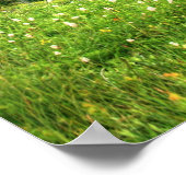 Siverstar Hdr Poster (Hoek)