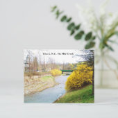 SIX MILE CREEK, ITHACA, N.Y. briefkaart (Staand voorkant)