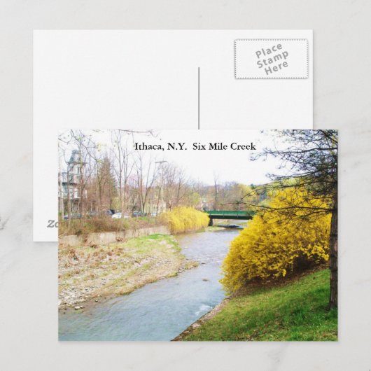 SIX MILE CREEK, ITHACA, N.Y. briefkaart (Voorkant / Achterkant)