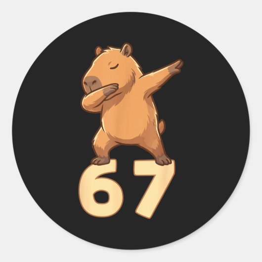 Six Seven 67 Meme Capybara Funny 67 Capybara For K Ronde Sticker (Voorkant)