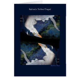 Sixtijnse kapel van natuur: Grote Blauwe Heron