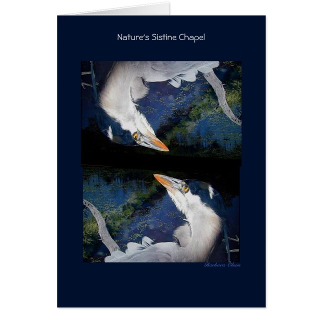 Sixtijnse kapel van natuur: Grote Blauwe Heron (Voorkant)