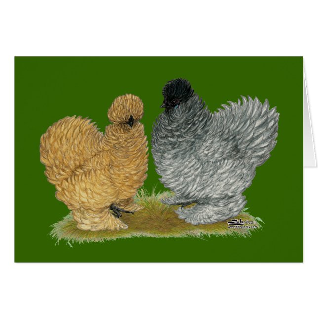 Sizzle Kippen (Voorkant Horizontaal)