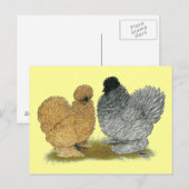 Sizzle Kippen Briefkaart (Voorkant / Achterkant)