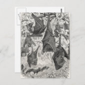  Sjablonen van de 1800s die met fox-bat-retro vlie Briefkaart (Voorkant / Achterkant)