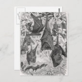  Sjablonen van de 1800s die met fox-bat-retro vlie Briefkaart (Voorkant / Achterkant)