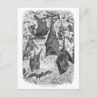  Sjablonen van de 1800s die met fox-bat-retro vlie Briefkaart