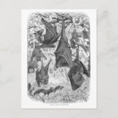  Sjablonen van de 1800s die met fox-bat-retro vlie Briefkaart (Voorkant)