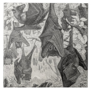  Sjablonen van de 1800s die met fox-bat-retro vlie Tegeltje