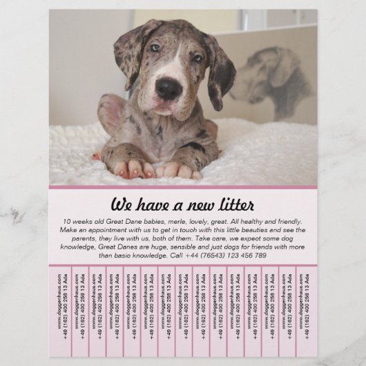 sjablonen voor de verkoop van puppy's flyer (Voorkant)