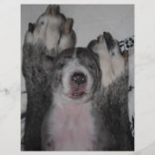 sjablonen voor de verkoop van puppy's flyer (Achterkant)