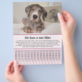 sjablonen voor de verkoop van puppy's flyer (Hand)