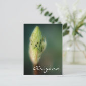 Sjabloon Arizona Briefkaart Spring Bud (Staand voorkant)