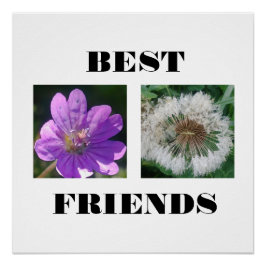 Sjabloon beste vrienden Afbeelding Perfect Poster