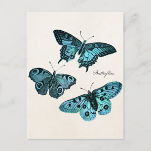  Sjabloon Blauwgroen blauwe vlinderillustratie  Briefkaart