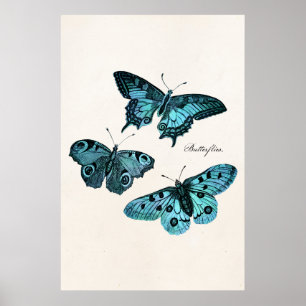  Sjabloon Blauwgroen blauwe vlinderillustratie  Poster