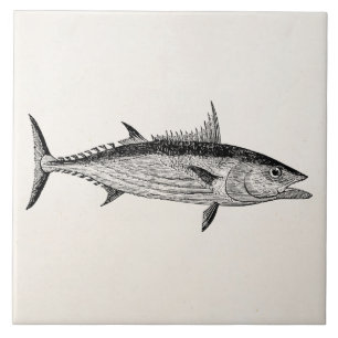  Sjabloon bonito vis - Aquatische visserij Tegeltje
