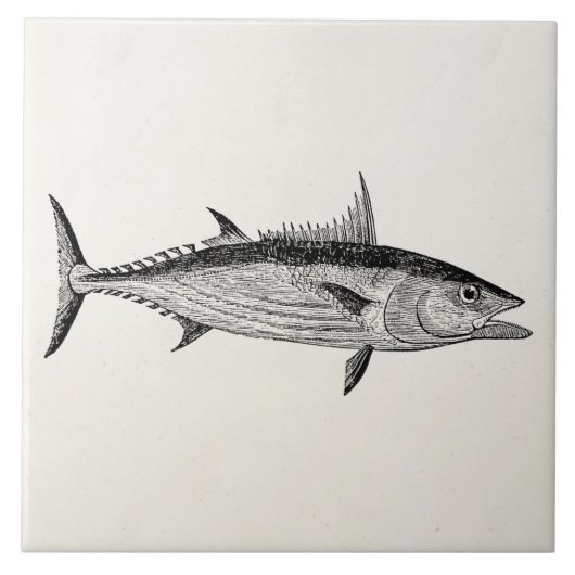 Sjabloon bonito vis - Aquatische visserij Tegeltje (Voorkant)