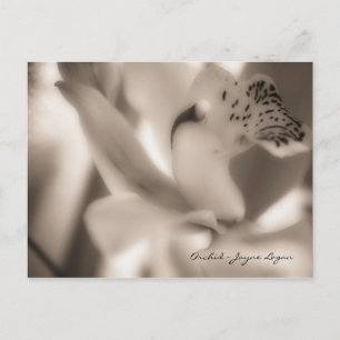 Sjabloon briefkaart - Sepia Orchid (Fotografie)