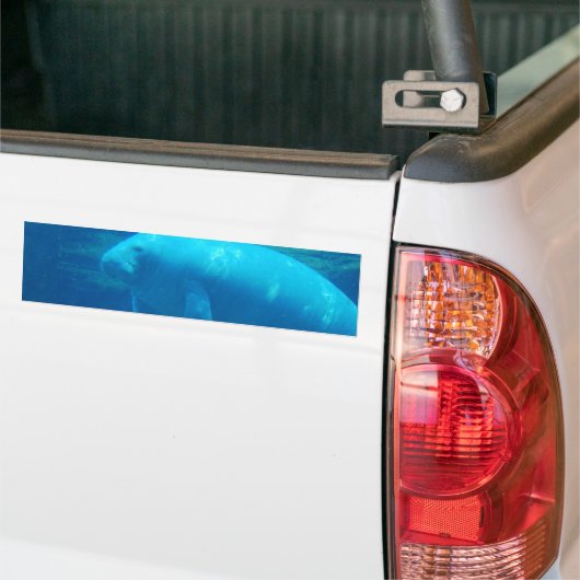 sjabloon Bumpersticker - Gepersonaliseerd (Op Truck)