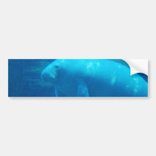 sjabloon Bumpersticker - Gepersonaliseerd
