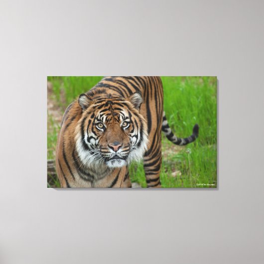 sjabloon canvas afdruk (Voorkant)