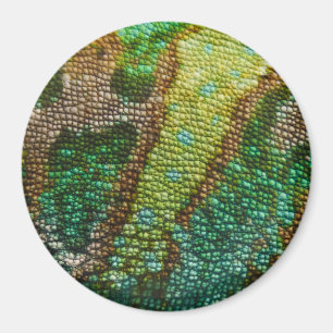 Sjabloon Chameleon Skin Texture Magneet