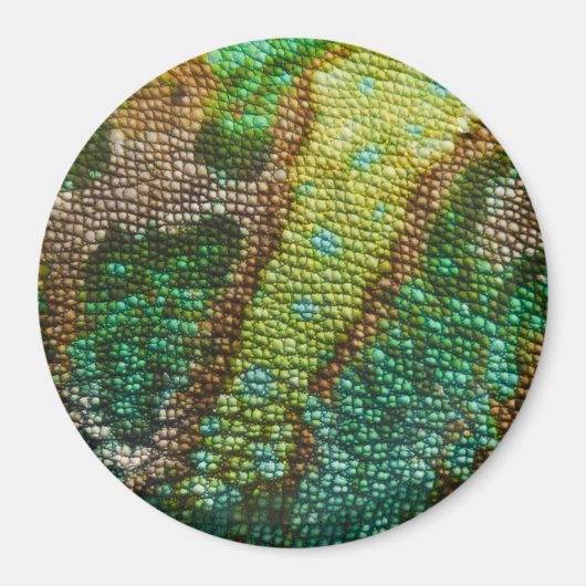 Sjabloon Chameleon Skin Texture Magneet (Voorkant)