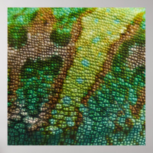 Sjabloon Chameleon Skin Texture Poster