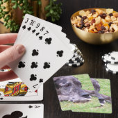 Sjabloon fietskaarten - Gepersonaliseerd Pokerkaarten (Insitu)