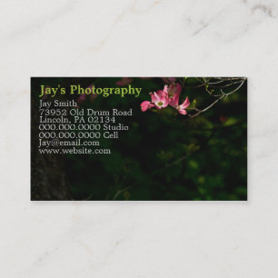 Sjabloon Fotografie Visitekaartjes