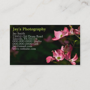 Sjabloon Fotografie Visitekaartjes