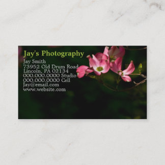 Sjabloon Fotografie Visitekaartjes