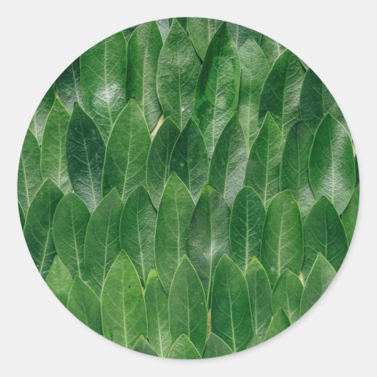 Sjabloon groen bladpatroon afdrukken ronde sticker (Voorkant)
