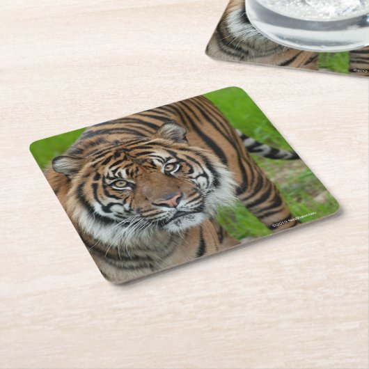 sjabloon kartonnen onderzetters (Schuin)