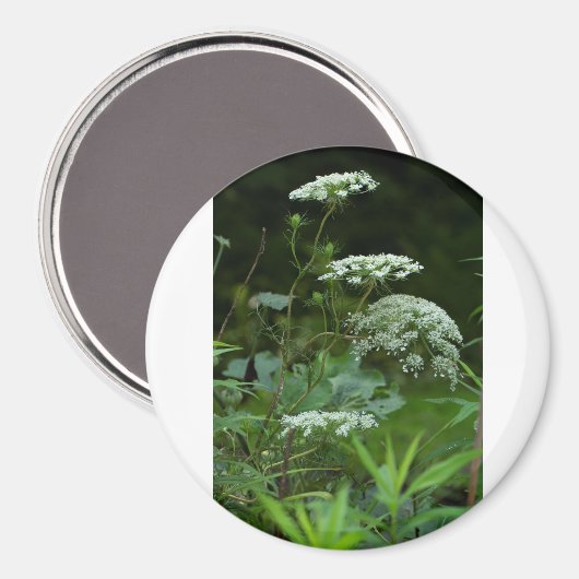 sjabloon met ronde magneet (Voorkant / Achterkant)