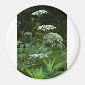 sjabloon met ronde magneet (Voorkant)