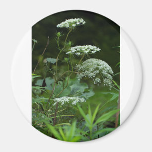 sjabloon met ronde magneet