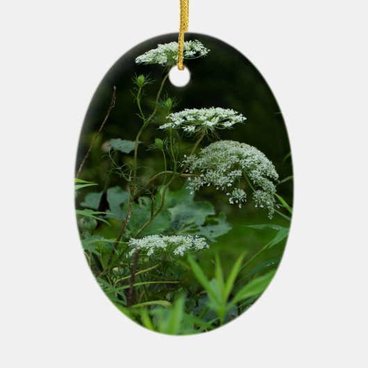 sjabloon ovaal ornament (Voorkant)