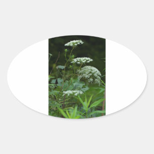 sjabloon ovaal sticker