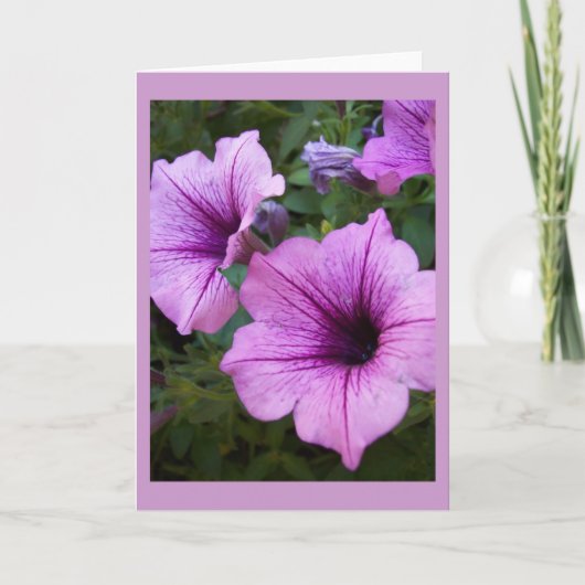 Sjabloon Petunia Card (Voorkant)