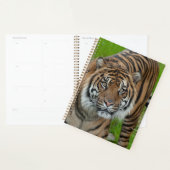 sjabloon planner (Display)