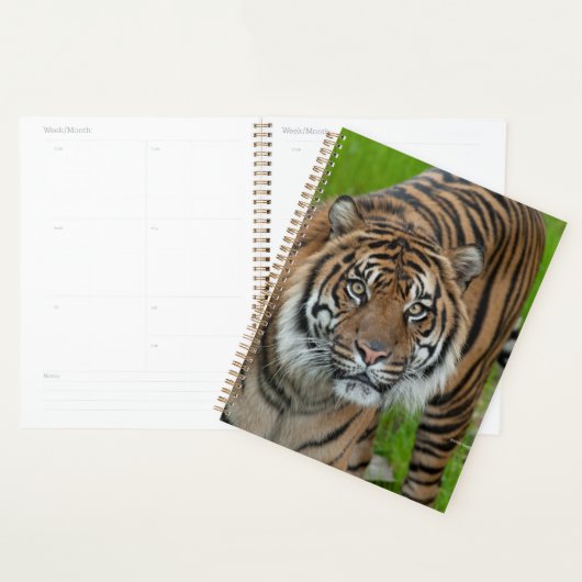 sjabloon planner (Display)