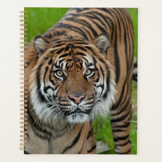 sjabloon planner (Voorkant)