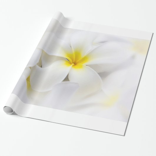 Sjabloon Plumeria Frangipani Hawaii Flower Flowers Cadeaupapier (Uitgerold)