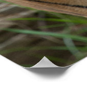 sjabloon poster (Hoek)