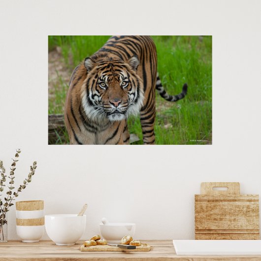 sjabloon poster (Keuken)