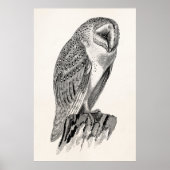 Sjabloon  screech Owl Bird Illustrator Poster (Voorkant)