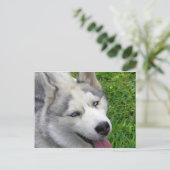Sjabloon Siberian Husky Briefkaart (Staand voorkant)